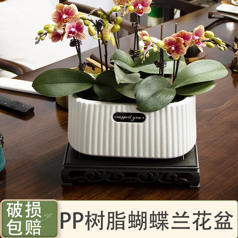塑料北欧风绿萝吊兰蝴蝶兰花盆