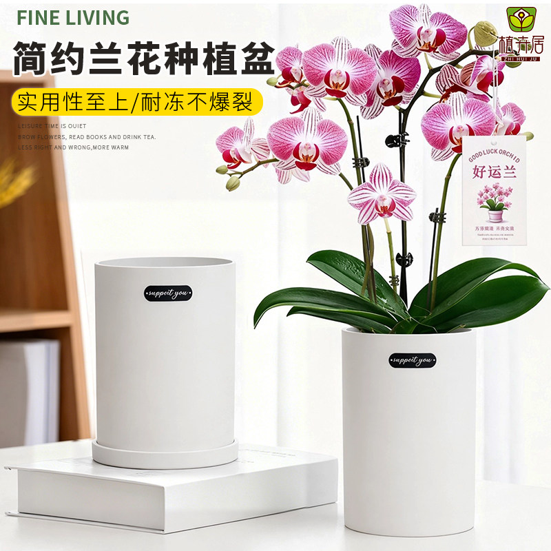 高颜值办公室桌面小绿植专用花盆图片