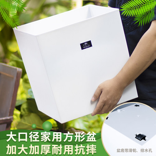 特大号客厅专用绿植大花盆