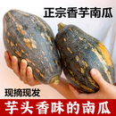 广西桂林正宗香芋南瓜新鲜糯宝宝辅食非贝贝南瓜 南瓜 芋头味