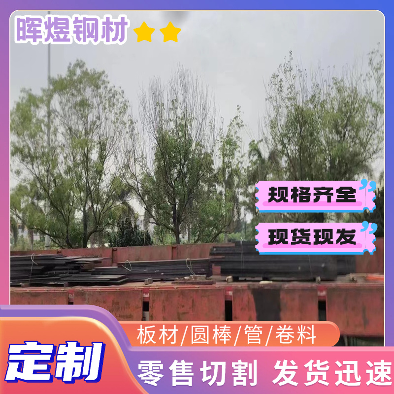 20CrMnTi 16MnCr5 60Si2Mn 30CrMnSi 38CrMoAl 42CrMo钢板T10圆钢