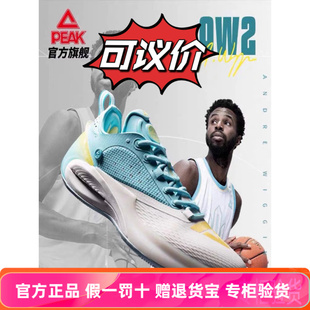 匹克态极维金斯2代篮球鞋男鞋铲型碳板专业球鞋轻弹科技AW2运动鞋