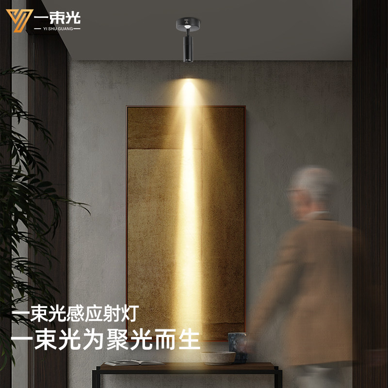 一束光聚光射灯明装人体感应客厅茶室入户玄关过道走廊楼梯吸顶灯,家装灯饰光源,明装射灯,淘宝优惠券,粉丝福利购,淘宝优惠卷