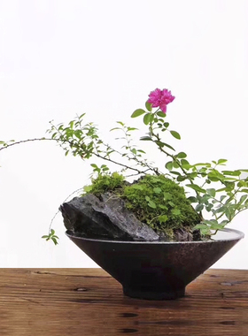 剑山插花器斗笠花器陶瓷花道碗花盆禅意插花器皿中W式日式花艺小