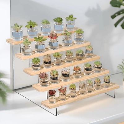 亚克力透明展示架阶梯泡泡玛特盲盒桌面置物架多肉植物手办公仔木