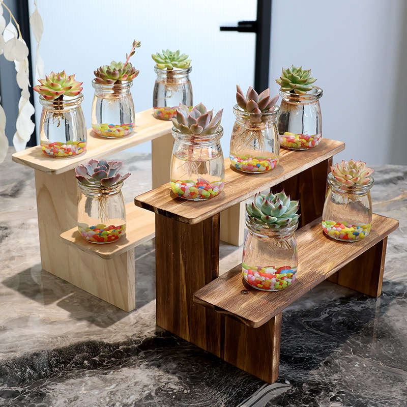 水培多肉植物桌面摆件绿植空气净化新手好养懒人花卉盆栽套餐组合,鲜花速递/花卉仿真/绿植园艺,多肉植物,淘宝优惠券,粉丝福利购,淘宝优惠卷