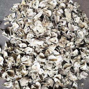 天然蚝壳牡蛎壳锦鲤鱼池鱼缸专用滤材过滤材料稳定PH值增加钙水质