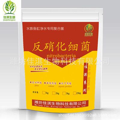 反硝化细菌 水族鱼缸净水用复合菌 污水处理水质净化微生物菌种