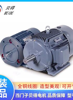 茵梦达西门子贝得电机0CV3133C 1TL0003-1CC33 5.5KW6极380V660V
