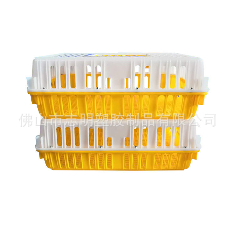 志明塑胶塑胶鸡笼运输周转箩塑料周转鸡笼