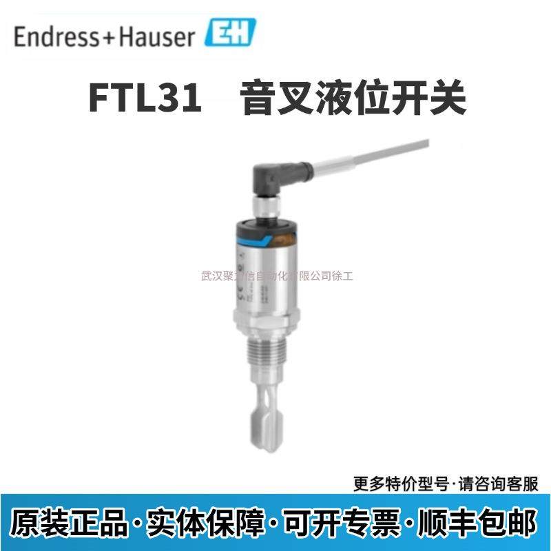 FTL31-1102/0 FTL31-AA4M2AAWBJ 德国E+H 音叉液位开关 现货