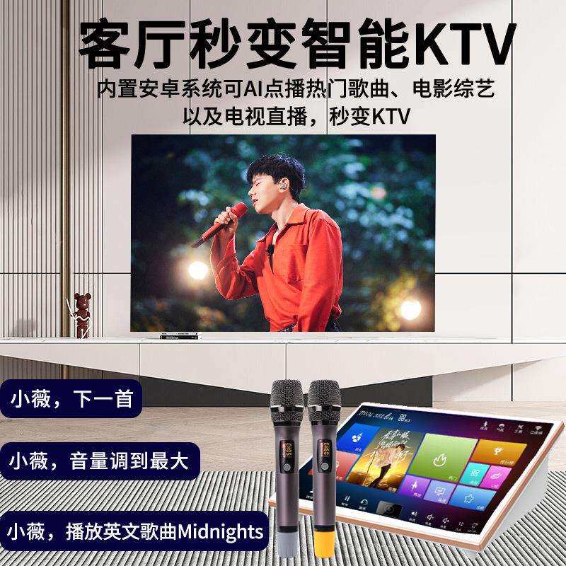 2025新款音响k歌家用会议卡拉ok全套家庭KTV点歌机麦克风功放套装