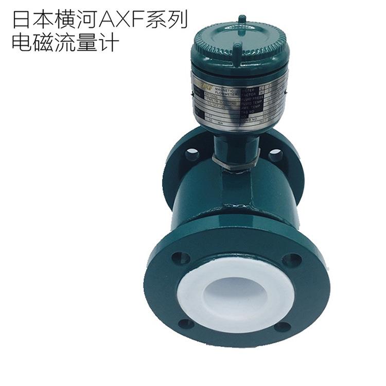 YOKOWAGA横河电磁流量计AXF分离型电磁流量计流量变送器