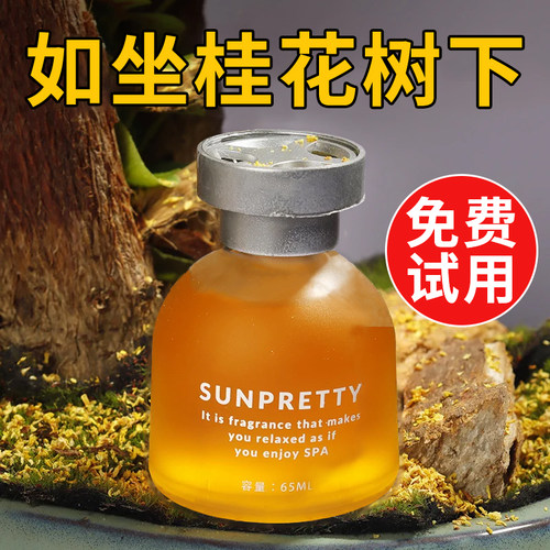 空气清新剂除异味车载香水