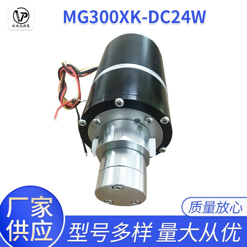 微型不锈钢磁力驱动齿轮泵 MG317XK/DC24W1耐高压齿轮泵