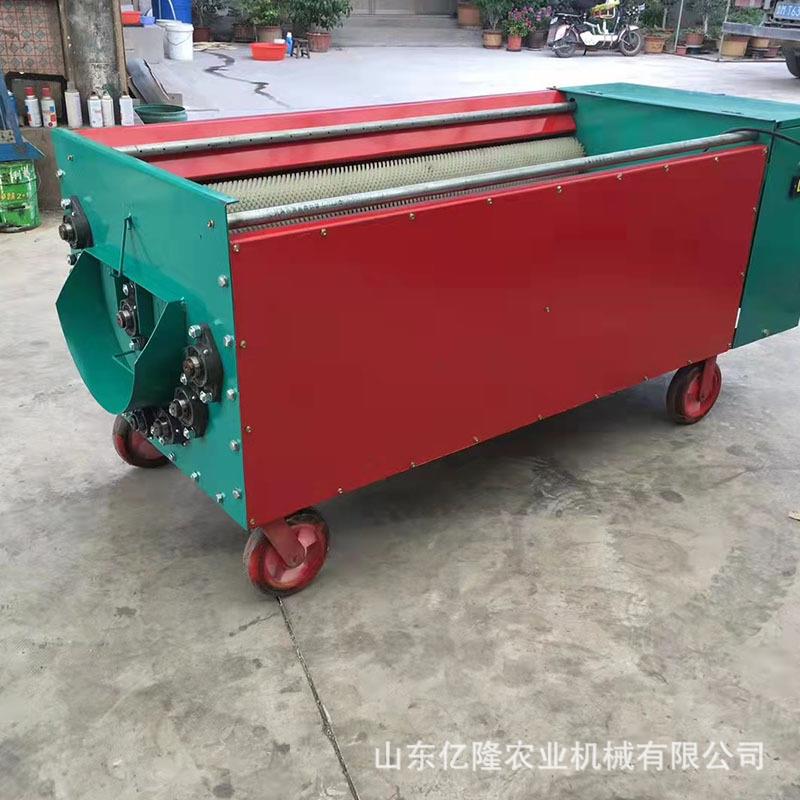 家用电动山核桃剥壳机薄皮核桃去壳机青核桃去皮清洗机