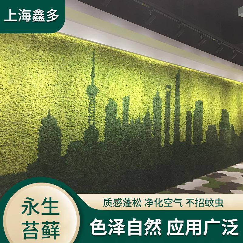永生苔藓墙有机草坪室内挂件装饰绿植墙仿真花枯山水造景苔藓