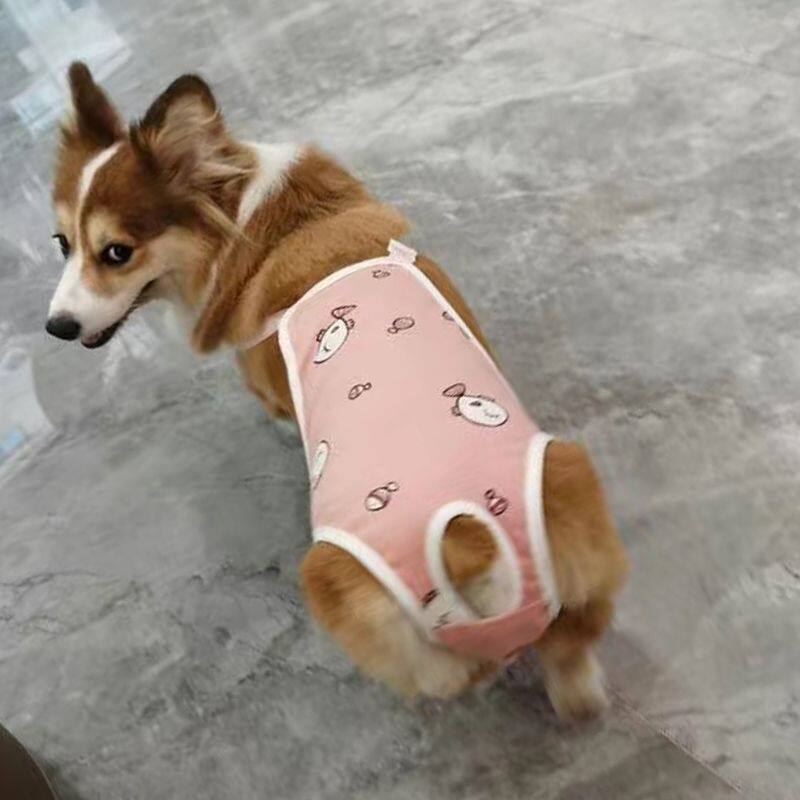 柯基生理裤法斗犬月经裤母狗女狗泰迪卫生裤防骚扰宠物狗狗安全裤