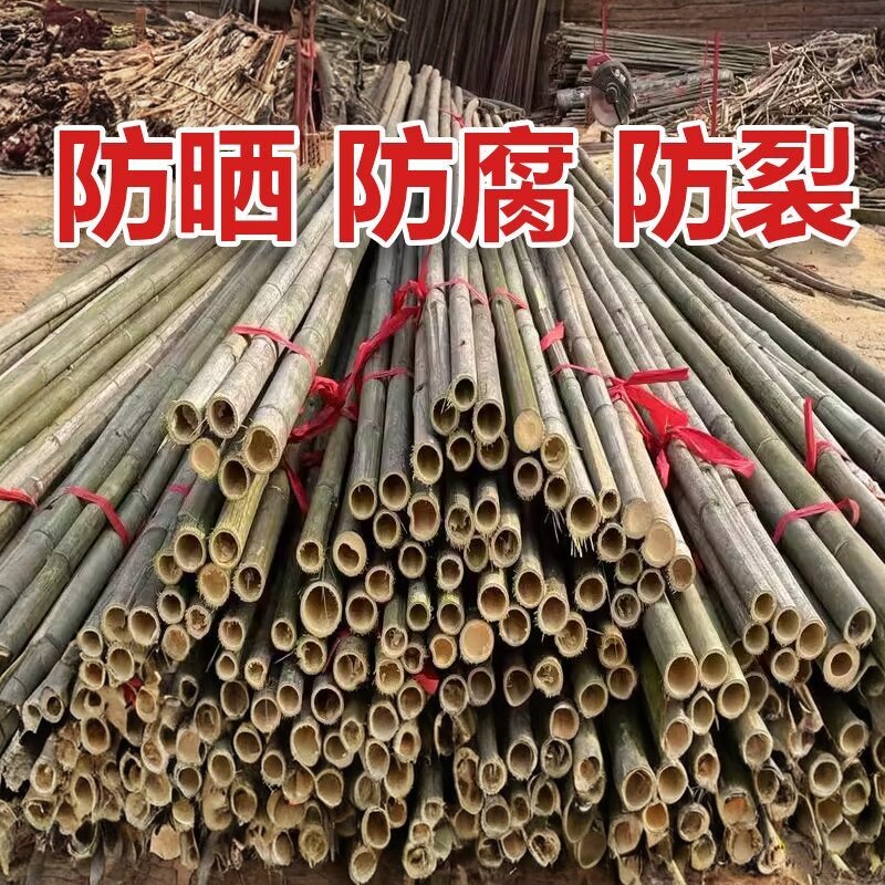 新疆西藏包邮 小竹子细竹
