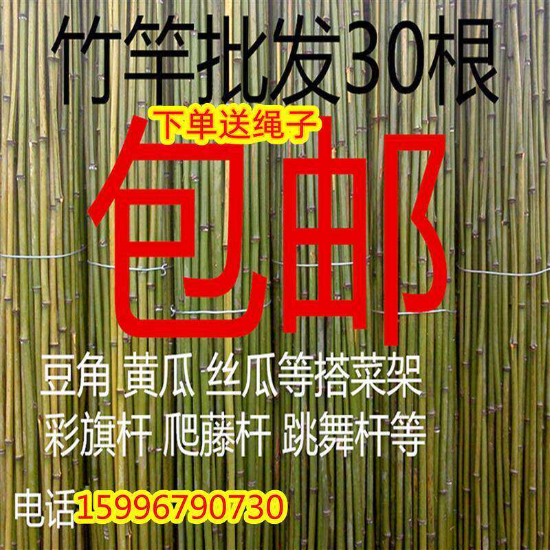 新疆包邮小竹子细竹竿菜园搭架户外篱笆豆角架竹棍2米彩旗杆跳舞