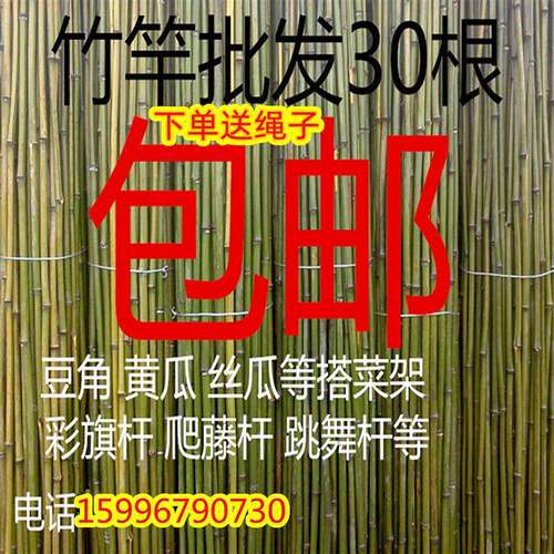 新疆包邮小竹子细竹竿菜