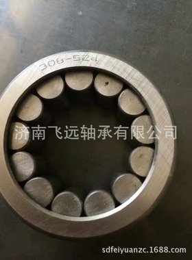 印刷机非标轴承 FF250  尺寸-65X120X33FF-250-系列种特非标轴承