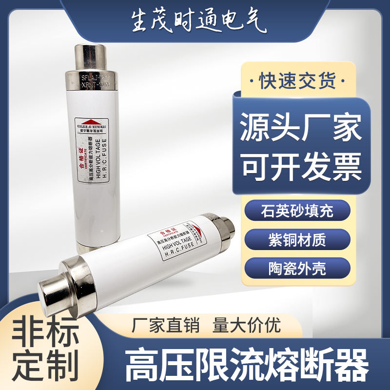 高压限流熔断器成套箱变保险管丝XRNT-10/12KV高分断能力PT互感器