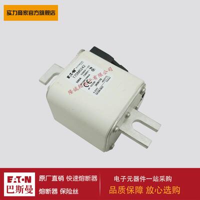 熔断器170M6242 170M6243 170M6244 170M6245 170M6246 170M6247