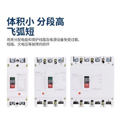 供应 RDM1L-250L/4300B 漏电断路器 原厂 人民电器集团有限公司