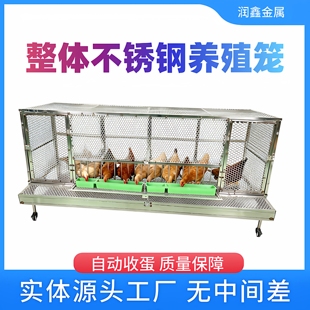 整体不锈钢鸡笼自动收蛋鸡笼特大号家用防鸡啄蛋户外鸡笼防黄鼠狼