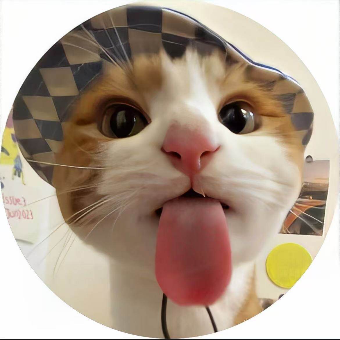 小猫吧唧可爱咪徽章搞怪5