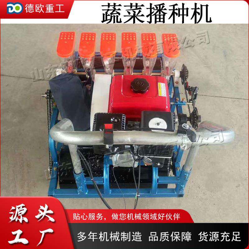 小型蔬菜播种机 手推式汽油六行点播机 小型农作物施肥覆土机