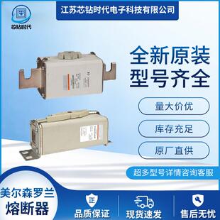 6,9GRB000BS88P/050tC330121 美尔森Ferraz罗兰熔断器