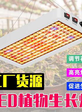 谦润照明led植物生长灯全光谱花蕊蔬菜种植灯室内育苗水草补光灯