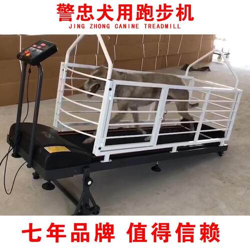 狗狗跑步机 德牧 马犬 卡罗杜thlou+hu高 罗维纳田 边牧 斯秋犬跑