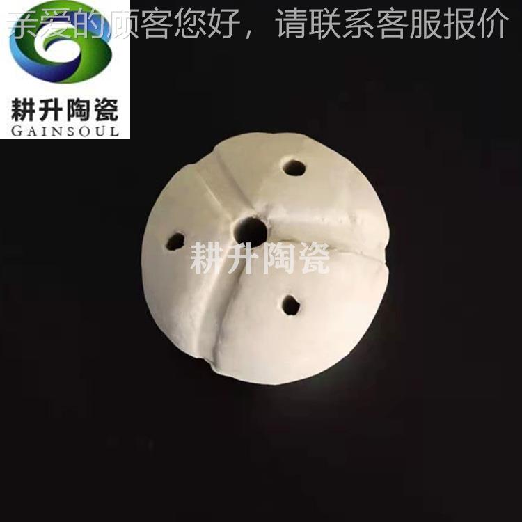 开孔球 菠萝瓷球 凹凸瓷球 支撑填料载0 1010-50mm-5瓷mm厂家供体