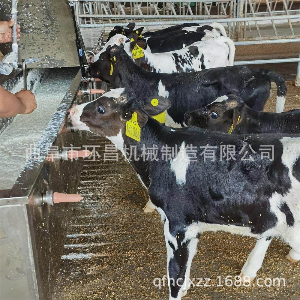 犊牛电加热器 犊恒牛饲饲GEL喂器 小牛温喂喂奶机