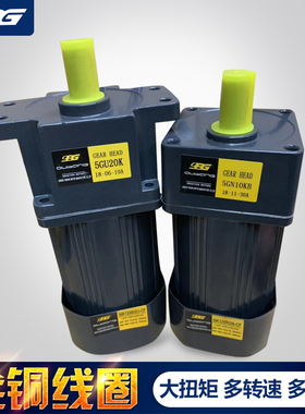 OPG欧邦21K 6W 51K120W61K250W齿轮减速调速定速变速马达立式电机