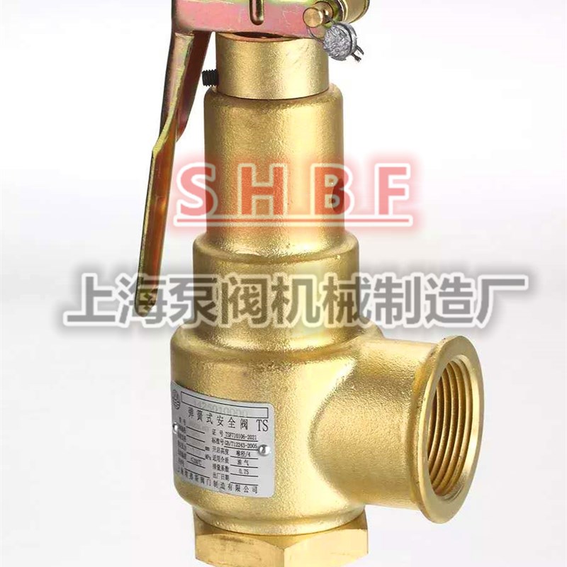 上海埃弗斯安全阀AK22X-16T 空压机螺杆机单向排放安全阀