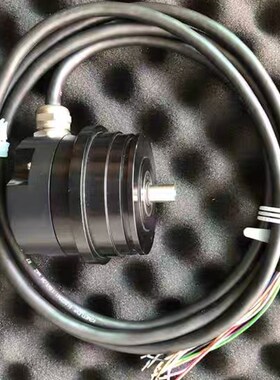 BRGE1-WSE1200-P-R-K-02国产替代型编码器
