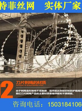 刀片刺绳焊接刀片刺网304 316 拉力刮刀 刀片刺网 小区防盗效果好