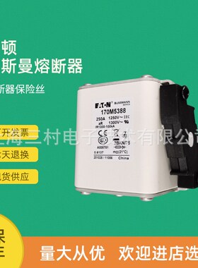 全新原装快速熔断器保险丝170M5445 170M5446 170M5447 170M5448