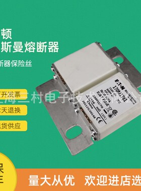 全新原装现货快速熔断器保险丝断路器170M1785 170M1786 170M1787