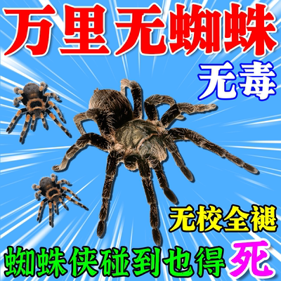 杀蜘蛛专用药家用室内无毒灭长腿蜘蛛蜈蚣神器卧室厨房除杀虫剂m