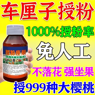 大樱桃授粉药车厘子授粉坐果精保花保果肥防落果座果灵控旺叶面肥