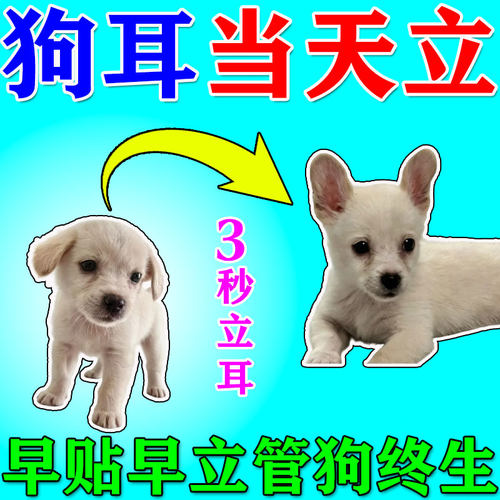 小狗立耳神器狗狗立耳贴德牧羊犬西高地雪纳瑞立耳辅助器耳朵固定