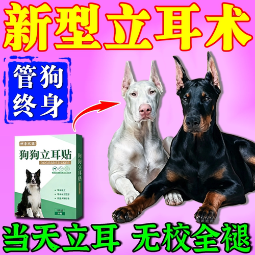 狗狗立耳神器辅助杜宾雪纳瑞西高地田园犬无胶水不伤耳朵固定贴m