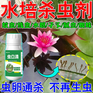 睡碗莲杀虫剂鱼缸池塘水培植物杀虫剂蚊子幼虫孑孓红线虫卵双杀