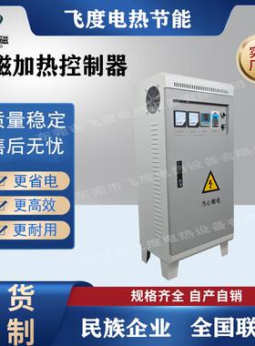 全水冷100-1K60加W电磁热控制器功率大加热更FD-JR-10桥快更耐温