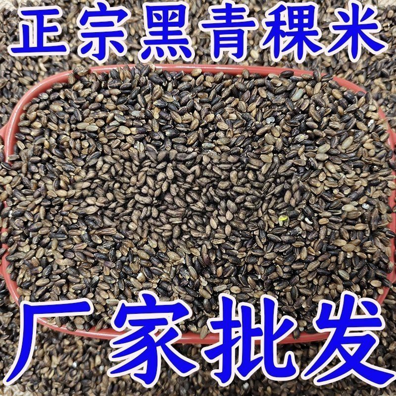 黑青稞米高原五谷杂粮青稞米煲粥煮饭优质粗粮新米批发健康营养